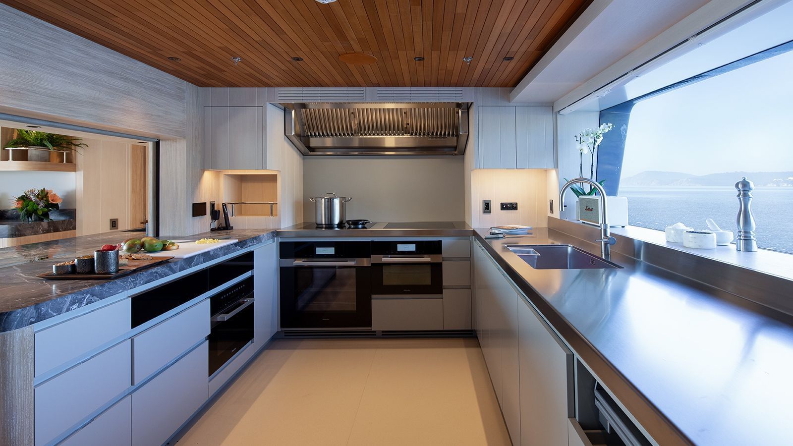 King Benji-34-gallery