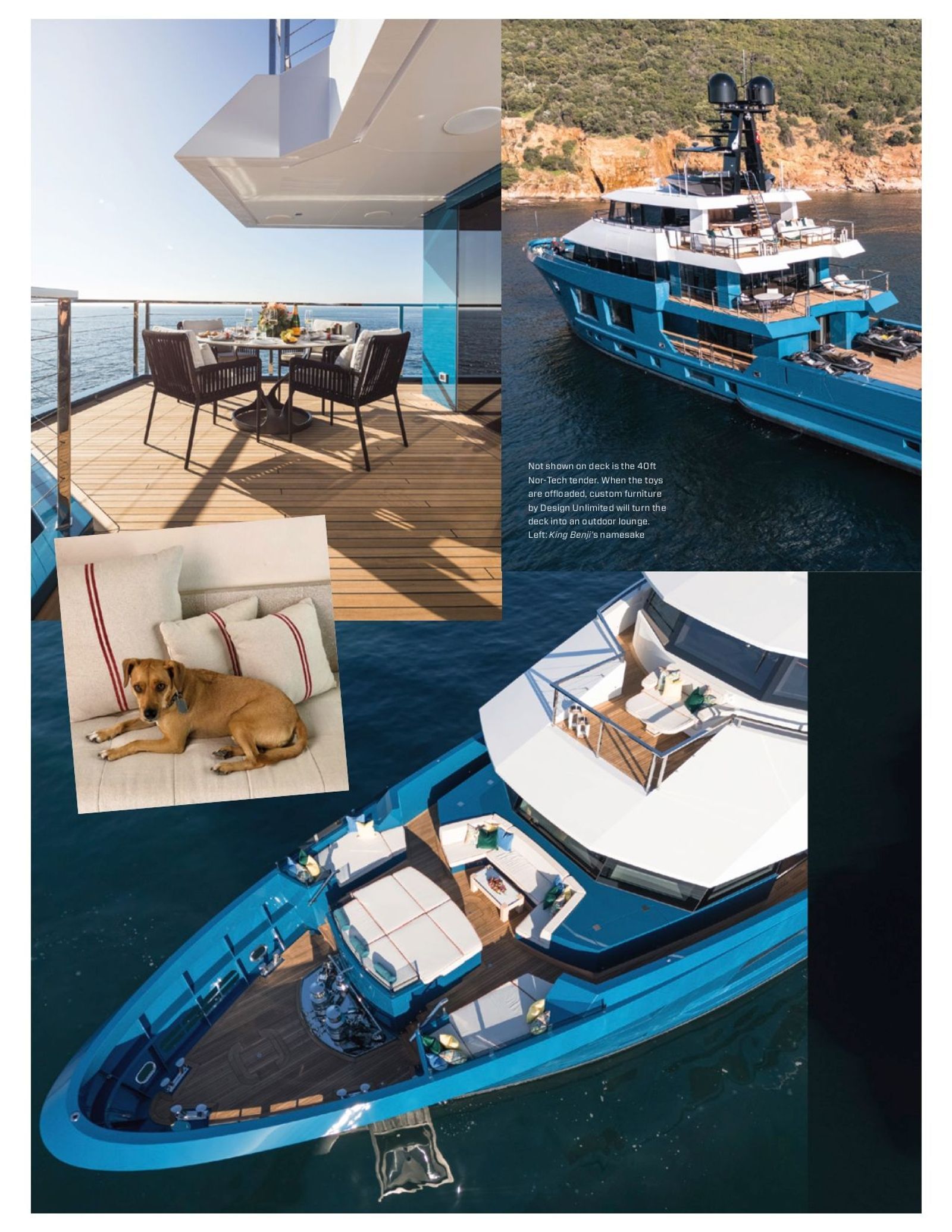 King Benji-67-gallery