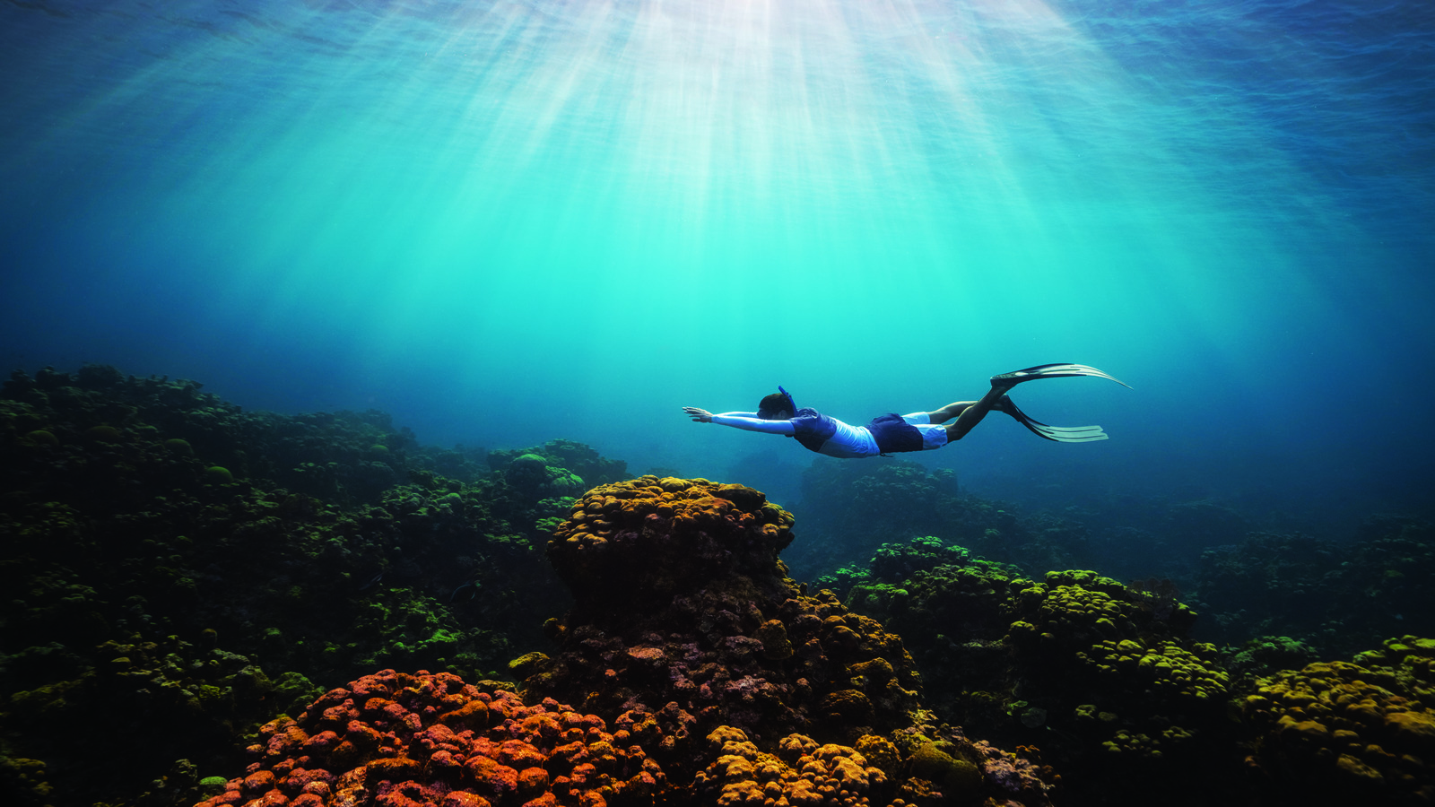 OCEANR_DSC07233 (1).jpg